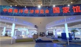 湛江今日大爆料,热点事件盘点与深度解读