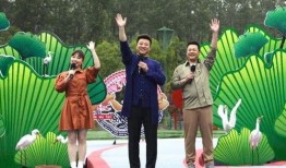 椒江最新爆料新闻视频下载,视频揭秘事件真相，引发社会关注